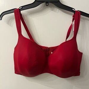 Womens bra